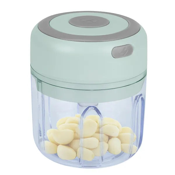 Compact portable mini electric garlic chopper for kitchen