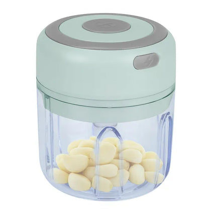 Compact portable mini electric garlic chopper for kitchen