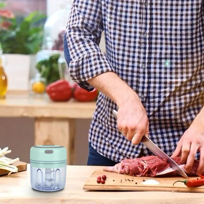 Compact portable mini electric garlic chopper for kitchen